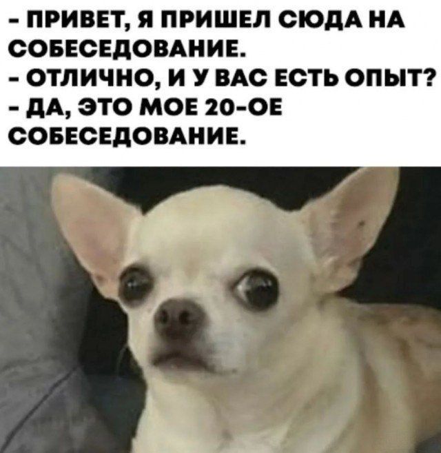 - Привет, я пришел сюда на собеседование.
- Отлично, и у вас есть опыт?
- Да, это моё 20-е собеседование.