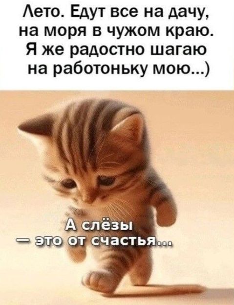Лето. Едут все на дачу, на моря в чужом краю. Я же радостно шагаю на работоньку мою...) А слёзы - это от счастья...