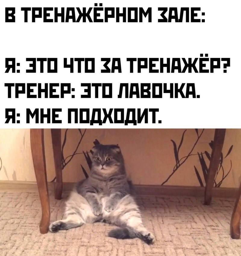 В тренажёрном зале:
Я: Это что за тренажёр?
Тренер: Это лавочка.
Я: Мне подходит.