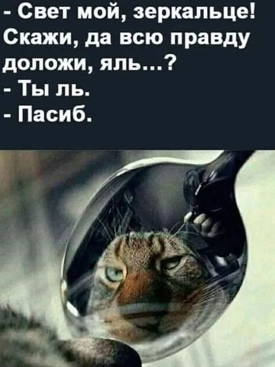 Свет мой, зеркальце! Скажи, да всю правду доложи, яль...? - Ты ль. - Пасиб.