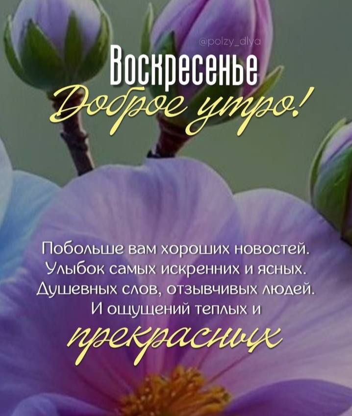 Воскресенье Доброе утро!
Побольше вам хороших новостей.
Улыбок самых искренних и ясных.
Душевных слов, отзывчивых людей.
И ощущений теплых и прекрасных