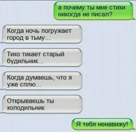 а почему ты мне стихи никогда не писал?
Когда ночь погружает город в тьму...
Тихо тикатает старый будильник...
Когда думаешь, что я уже сплю...
Открываешь ты холодильник
Я тебя ненавижу!