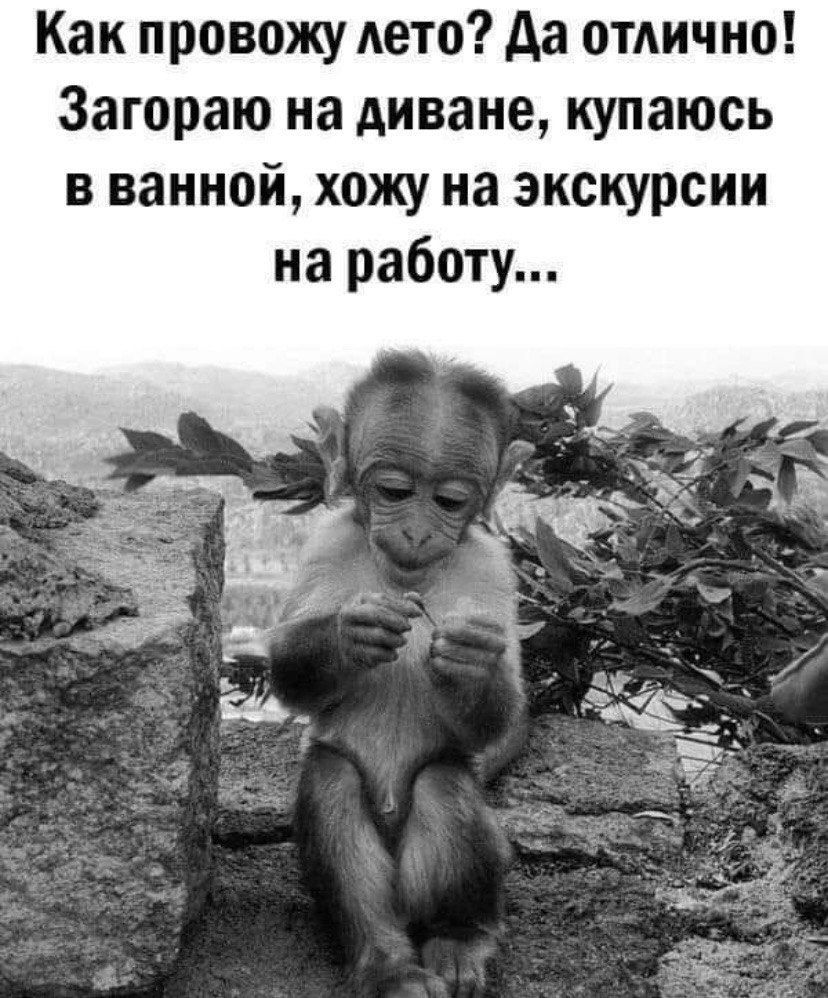 Как провожу лето? Да отлично! Загоряю на диване, купаюсь в ванной, хожу на экскурсии на работу...