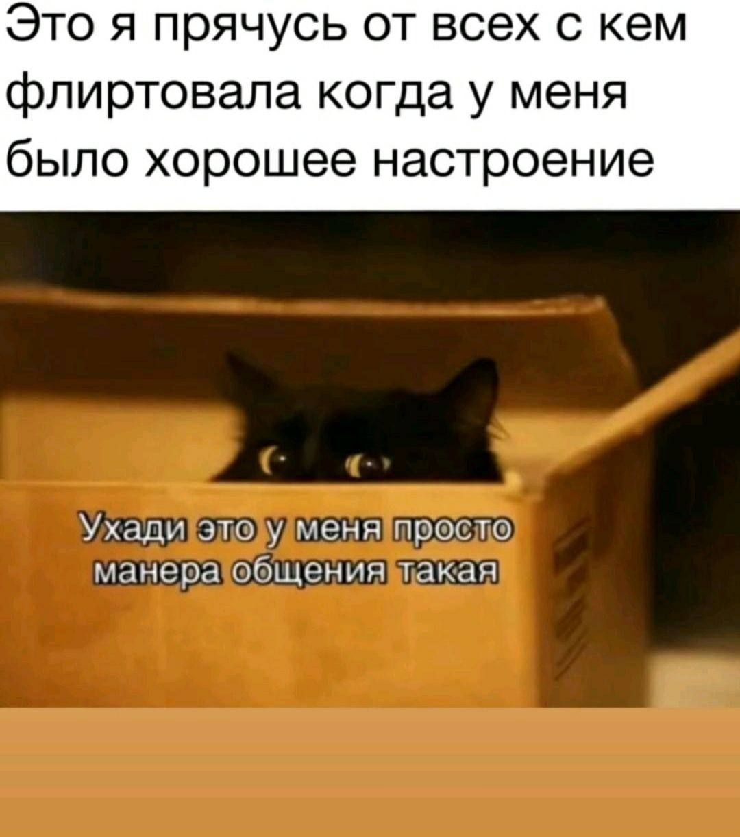Это я прячусь от всех с кем флиртовала когда у меня было хорошее настроение
Уходи это у меня просто манера общения такая