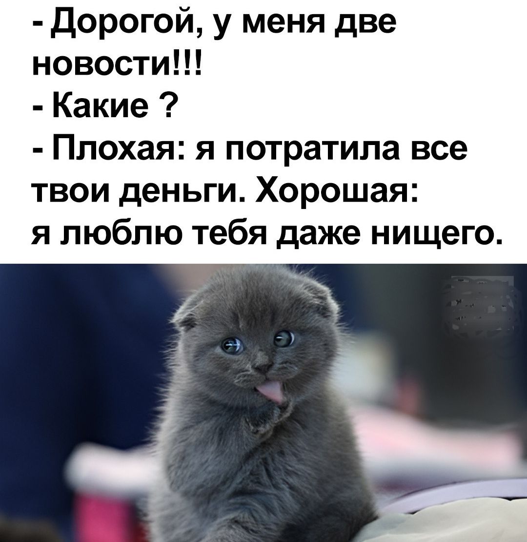 Дорогой, у меня две новости!!!
Какие ?
Плохая: я потратила все твои деньги. Хорошая: я люблю тебя даже ничего.