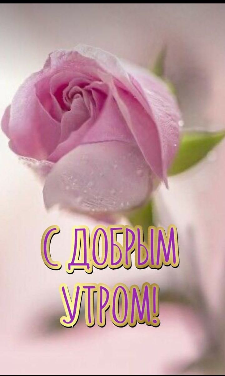 С ДОБРЫМ УТРОМ!