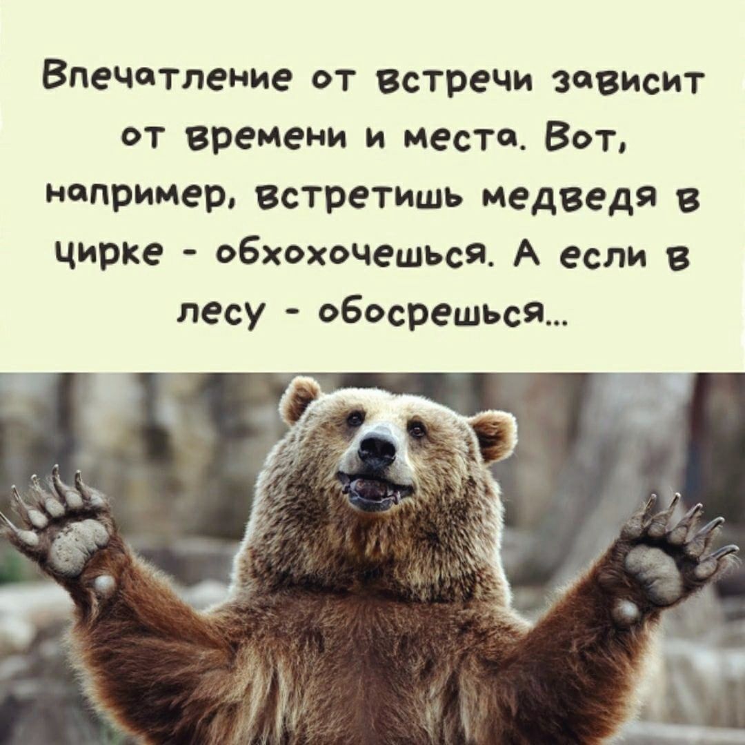 Впечатление от встречи зависит от времени и места. Вот, например, встретишь медведя в цирке - обхохочешься. А если в лесу - обосрешьеся...