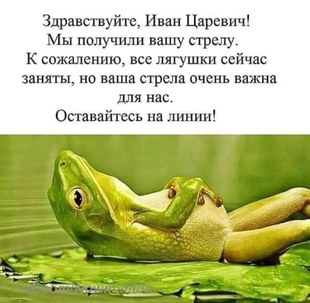 Здравствуйте, Иван Царевич! Мы получили вашу стрелу. К сожалению, все лягушки сейчас заняты, но ваша стрела очень важна для нас. Оставайтесь на линии!