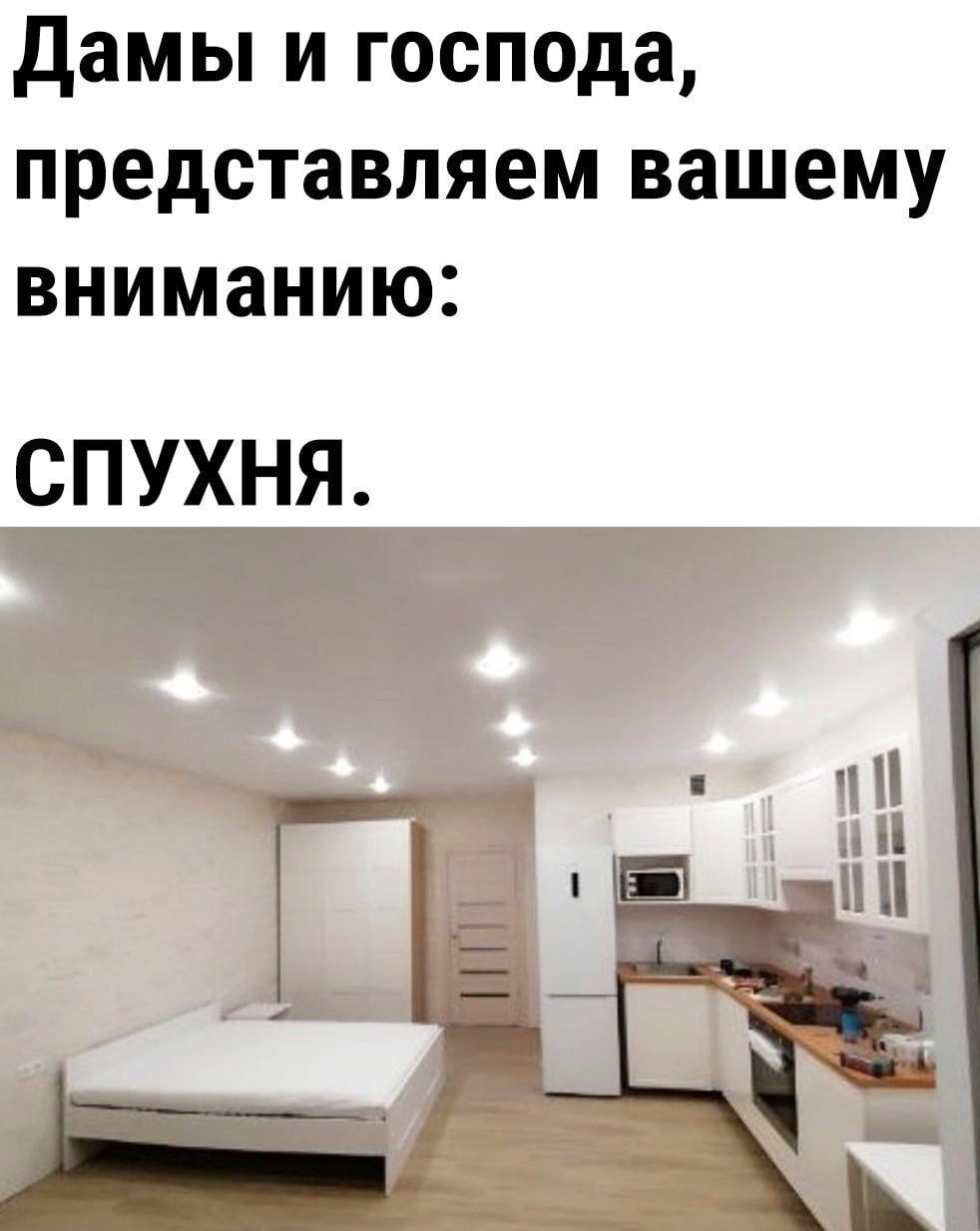 Дамы и господа, представляем вашему вниманию: СПУХНЯ.
