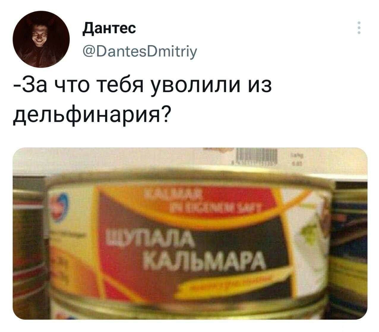 -За что тебя уволили из дельфинари? Щупала кальмара.