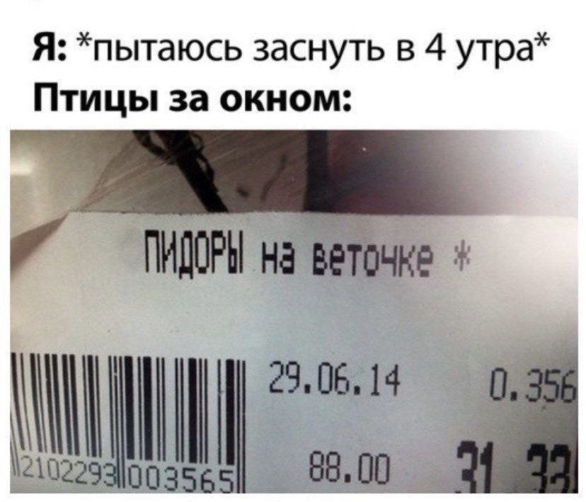 Я: *пытаюсь заснуть в 4 утра* Птицы за окном: ПИДОРЫ НА ВЕТОЧКЕ * 29.06.14 88.00 31 33