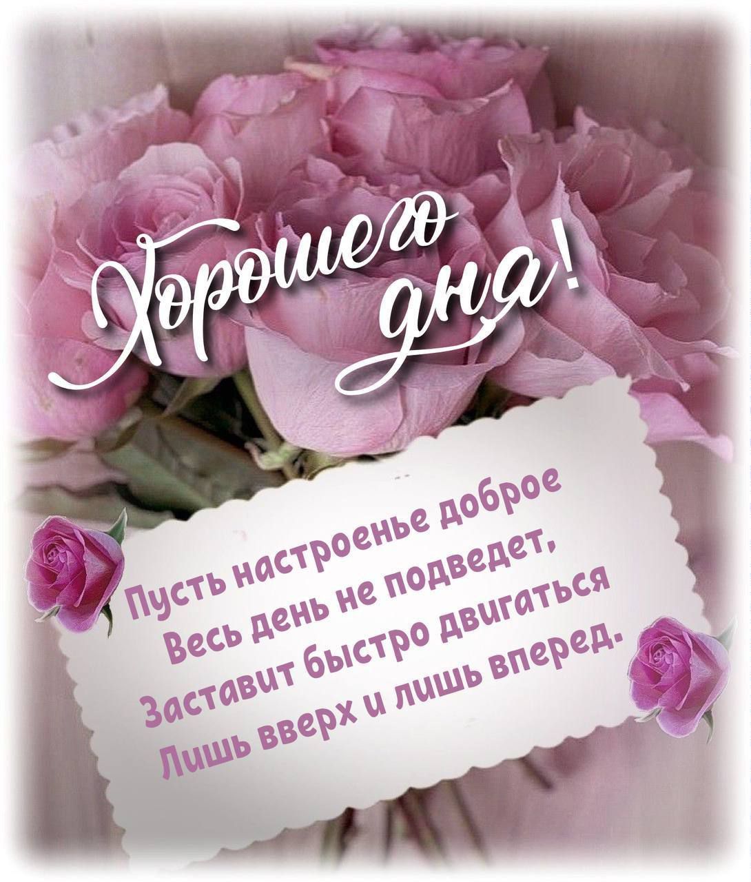 Хорошего дня!
Пусть настроенье доброе
Весь день не подведет,
Заставит быстро двигаться
Лишь вверх и лишь вперед.