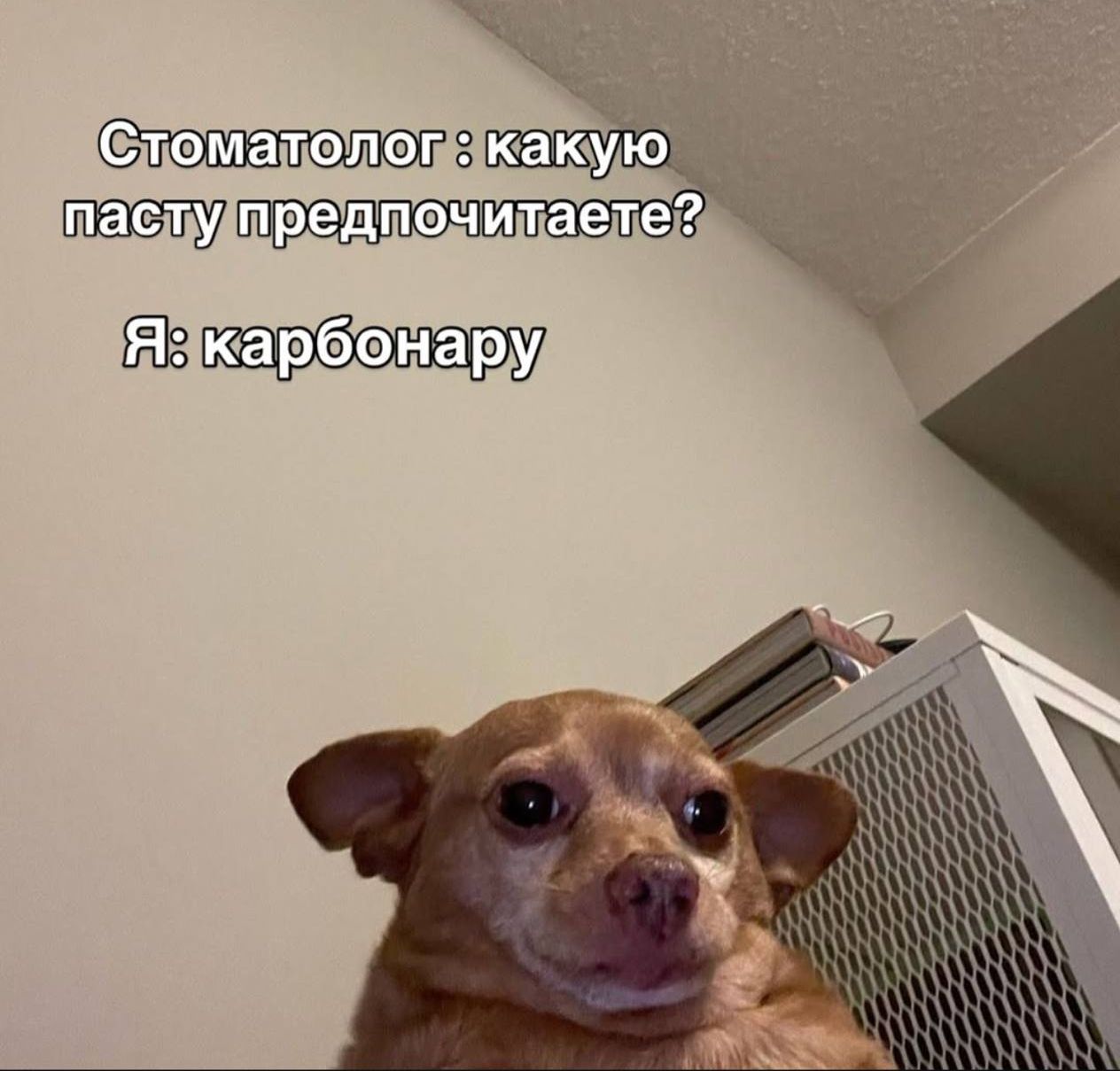 Стоматолог : какую пасту предпочтите? Я: карбонару