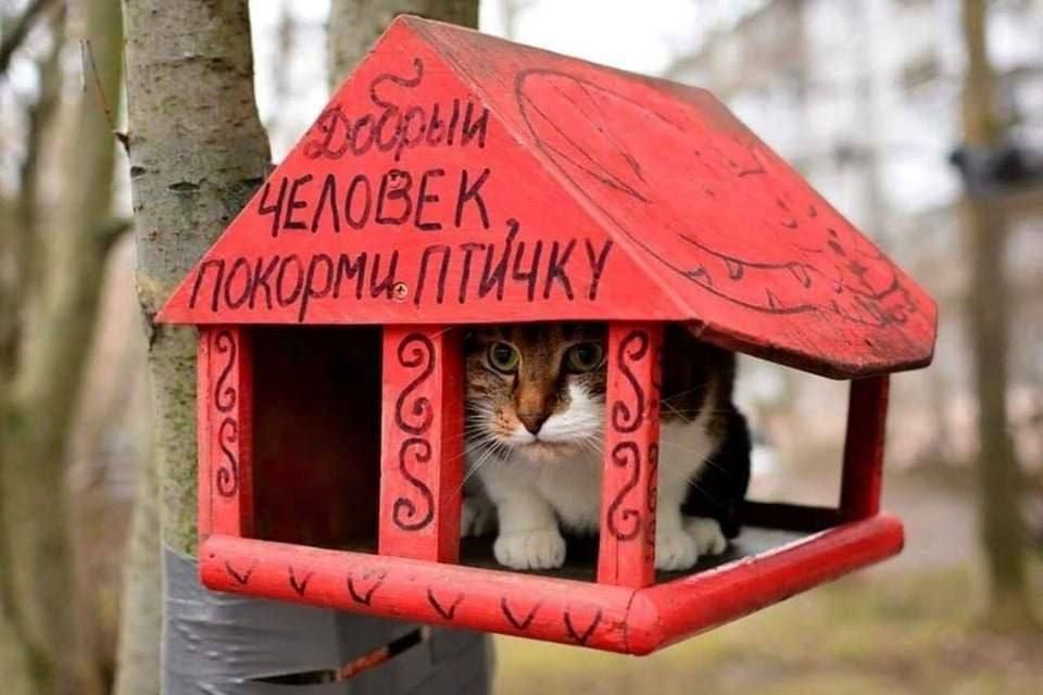 В семье гопников росли\nчетыре девочки: Алена,\nТычена, Ващена и Сюдана\n