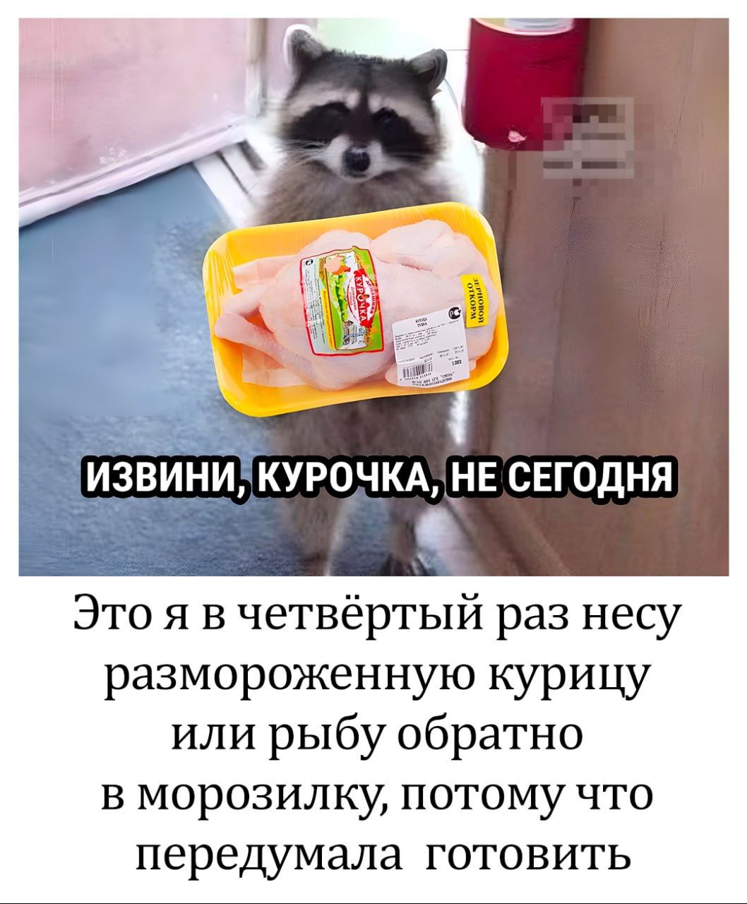 Извини, курочка, не сегодня
Это я в четвёртый раз несу размороженную курицу или рыбу обратно в морозилку, потому что передумала готовить.