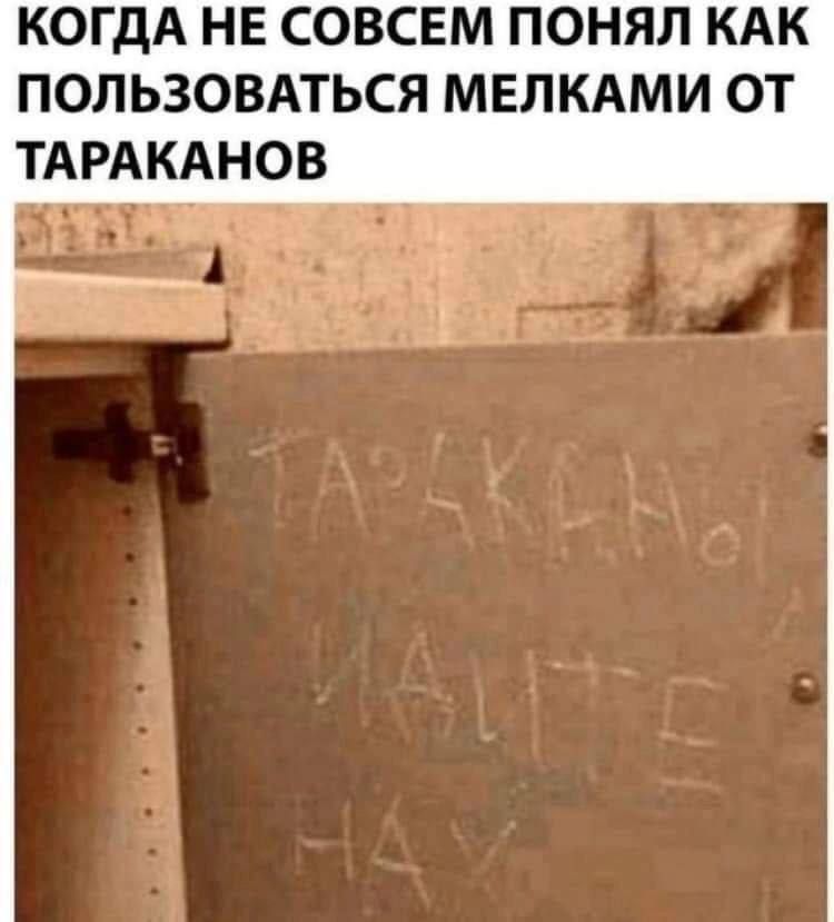 КОГДА НЕ СОВСЕМ ПОНЯЛ KAK ПОЛЬЗОВАТЬСЯ МЕЛКАМИ ОТ ТАРАКАНОВ
