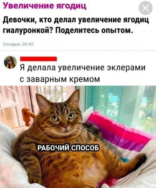 Увеличение ягодиц
Девочки, кто делал увеличение ягодиц гиалуронкой? Поделитесь опытом.
Я делала увеличение эклерами с заварным кремом
РАБОЧИЙ СПОСОБ