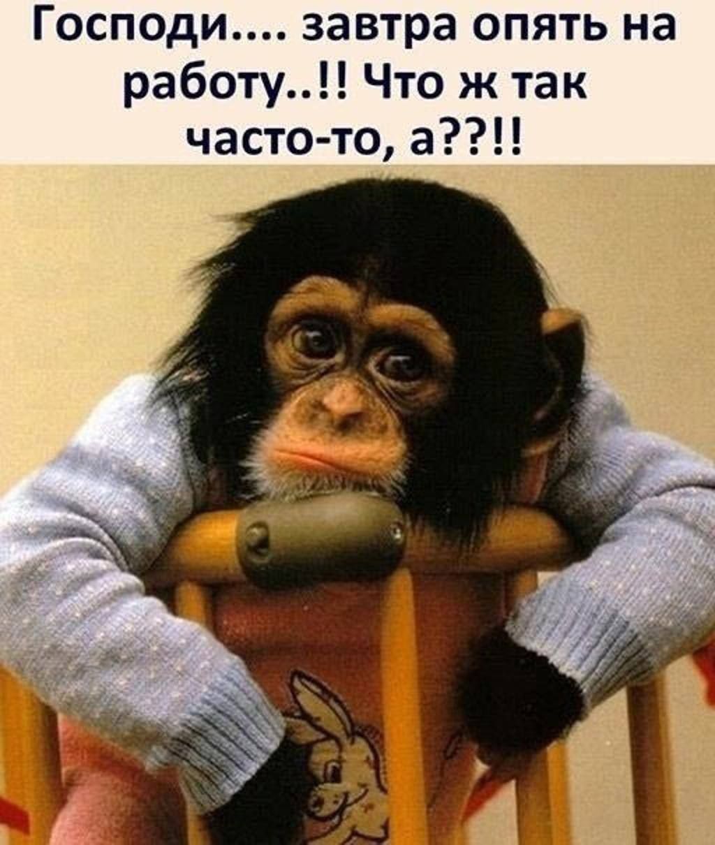 Господи.... завтра опять на работу..!! Что ж так часто-то, а??!!