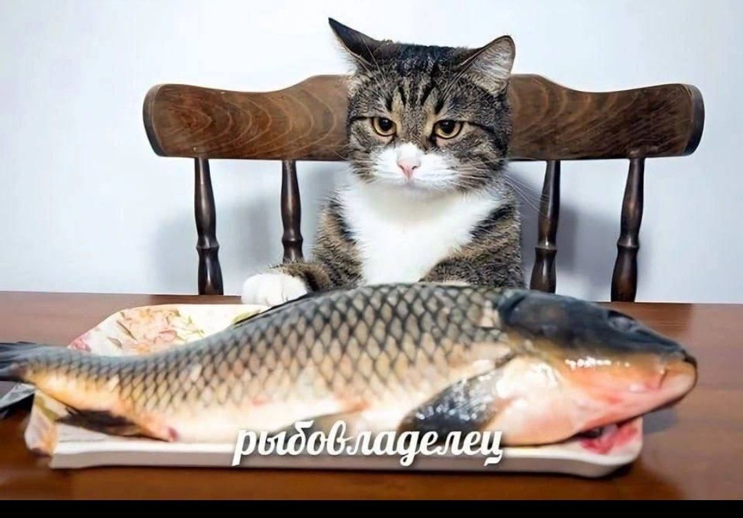 рыбовладельцу