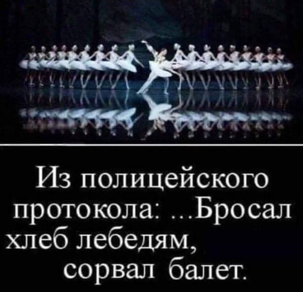 Из полицейского протокола: ...Бросал хлеб лебедям, сорвал балет.