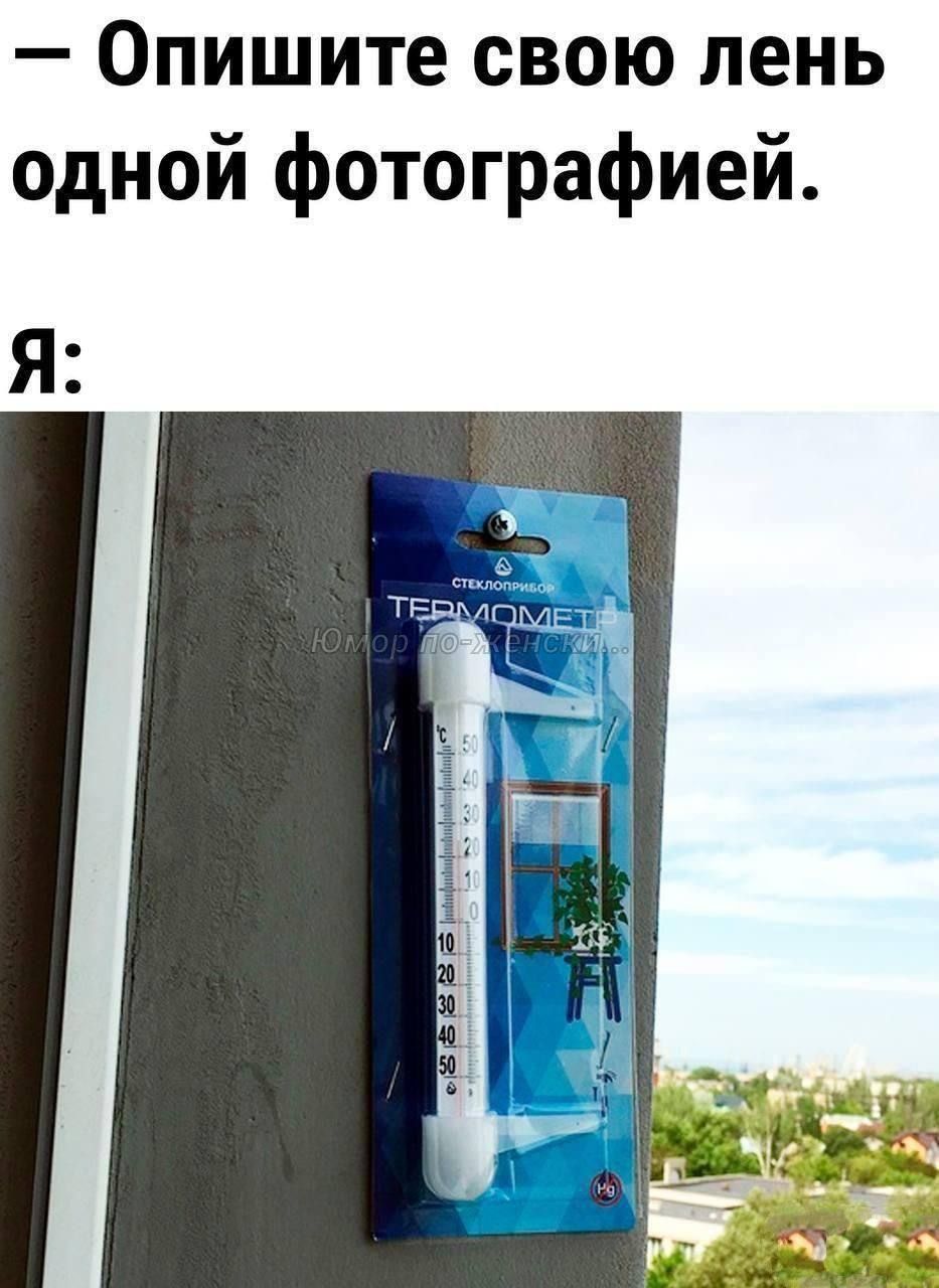 — Опишите свою лень одной фотографией.
Я: