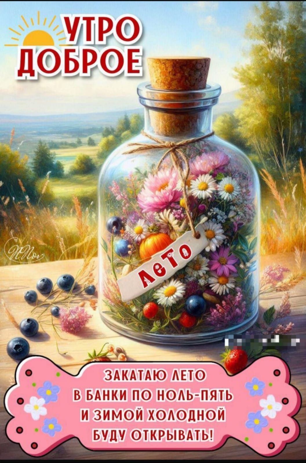 УТРО ДОБРОЕ
ЗАКАТАЮ ЛЕТО В БАНКИ ПО НОЛЬ-ПЯТЬ И ЗИМОЙ ХОЛОДНОЙ БУДУ ОТКРЫВАТЬ!