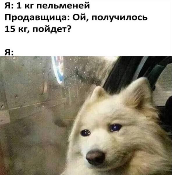 Я: 1 кг пельменей
Продавщица: Ой, получилось 15 кг, пойдет?
Я:
