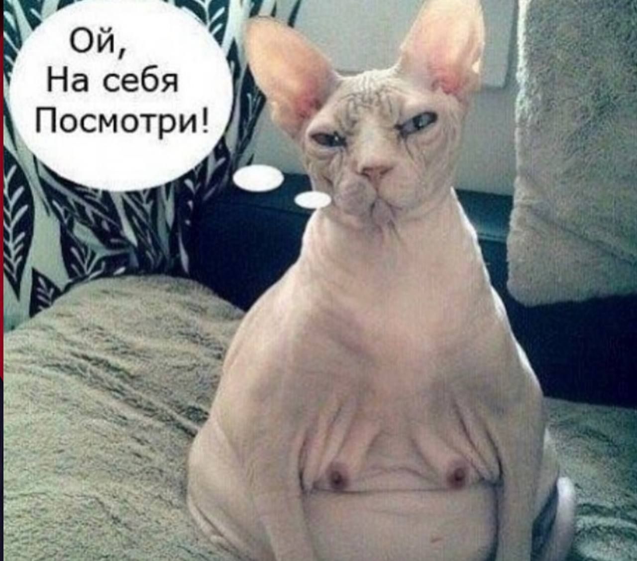 Ой, На себя Посмотри!