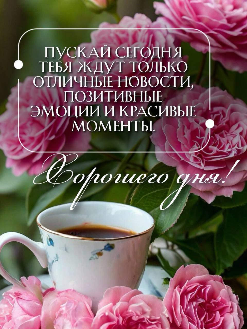 ПУСКАЙ СЕГОДНЯ ТЕБЯ ЖДУТ ТОЛЬКО ОТЛИЧНЫЕ НОВОСТИ, ПОЗИТИВНЫЕ ЭМОЦИИ И КРАСИВЫЕ МОМЕНТЫ! Хорошего дня!