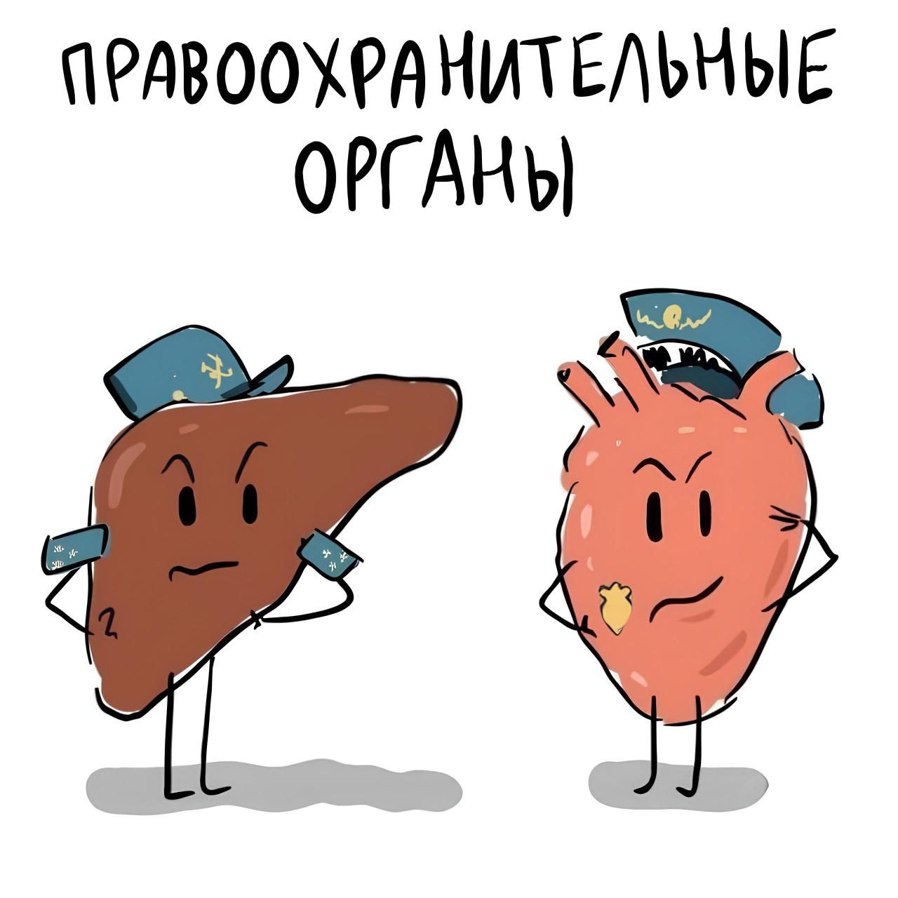 ПРАВООХРАНИТЕЛЬНЫЕ ОРГАНЫ