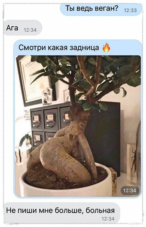 Ты ведь веган? Ага Смотри какая задница 🔥 Не пиши мне больше, больная