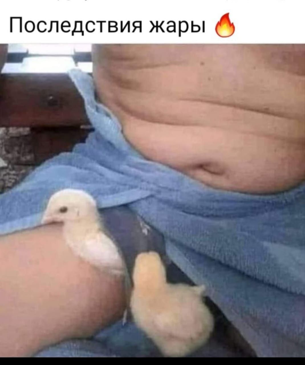 Последствия жары 🔥