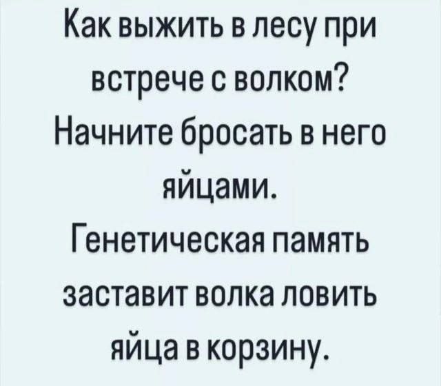 Как выжить в лесу при встрече с волком?
Начните бросать в него яйцами.
Генетическая память заставит волка ловить яйца в корзину.