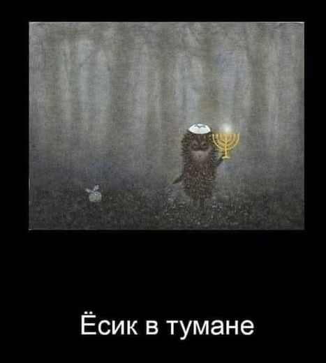 Ёсик в тумане