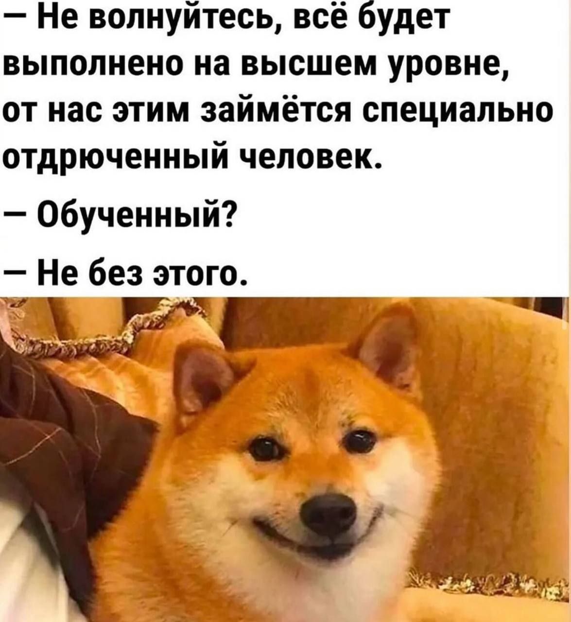 — Не волнуйтесь, всё будет выполнено на высшем уровне, от нас этим займётся специально отдрученный человек.
— Обученный?
— Не без этого.