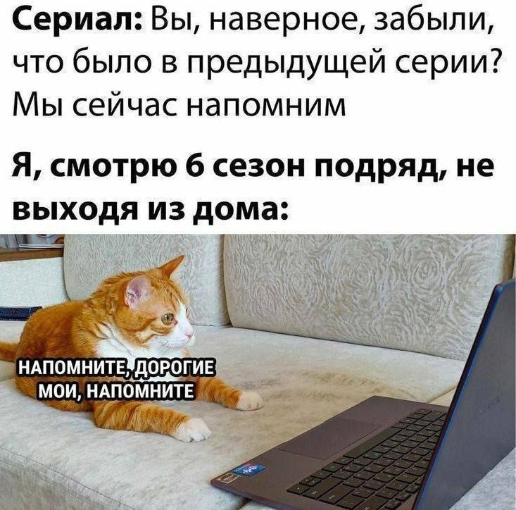 Сериал: Вы, наверное, забыли, что было в предыдущей серии? Мы сейчас напомним
Я, смотрю 6 сезон подряд, не выходя из дома:
НАПОМНИТЕ, ДОРОГИЕ Мои, НАПОМНИТЕ