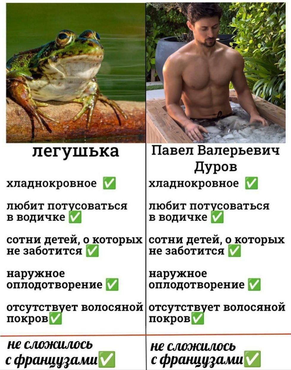 легушушка
холоднокровное ☑
любит потусоваться в водичке ☑
соти детей, о которых не заботится ☑
наружное оплодотворение ☑
отсутствует волосяной покров ☑

Павел Валерьевич Дуров
холоднокровное ☑
любит потусоваться в водичке ☑
соти детей, о которых не заботится ☑
наружное оплодотворение ☑
отсутствует волосяной покров ☑

не сложилось с французаи