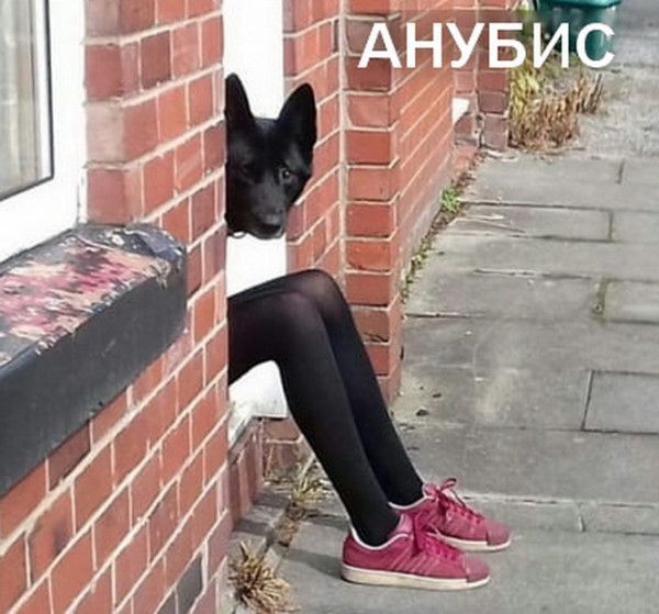 АНУБИС