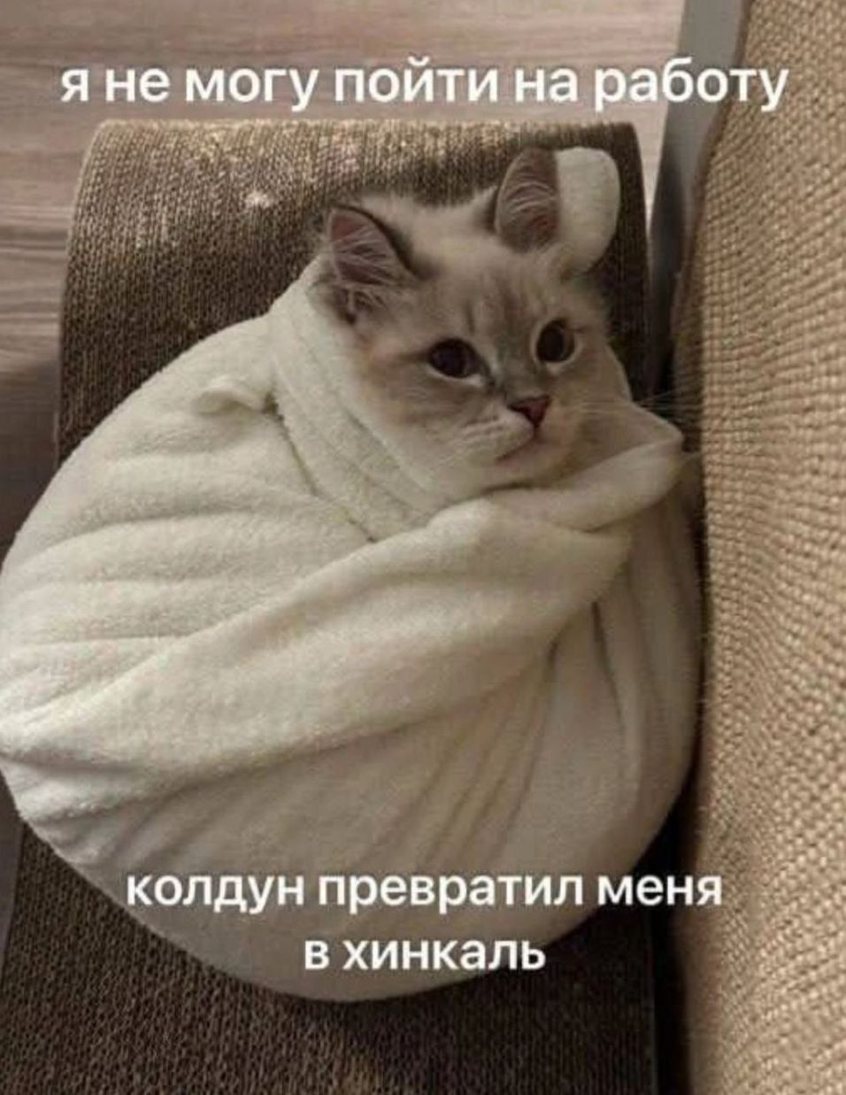 я не могу пойти на работу
колдун превратил меня в хинкаль