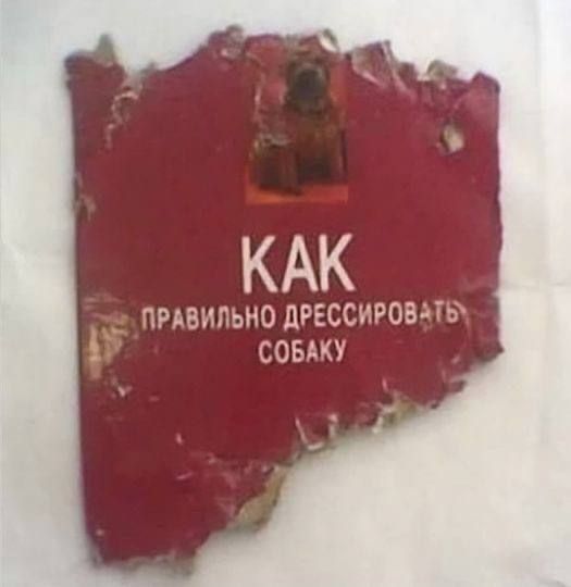 КАК ПРАВИЛЬНО ДРЕССИРОВАТЬ СОБАКУ