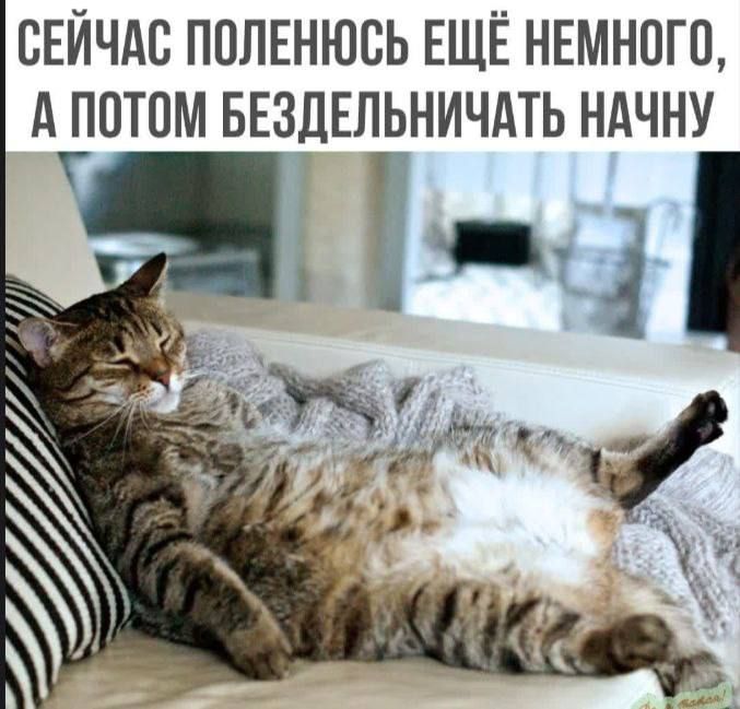 СЕЙЧАС ПОЛЕНЮСЬ ЕЩЁ НЕМНОГО, А ПОТОМ БЕЗДЕЛЬНИЧАТЬ НАЧНУ