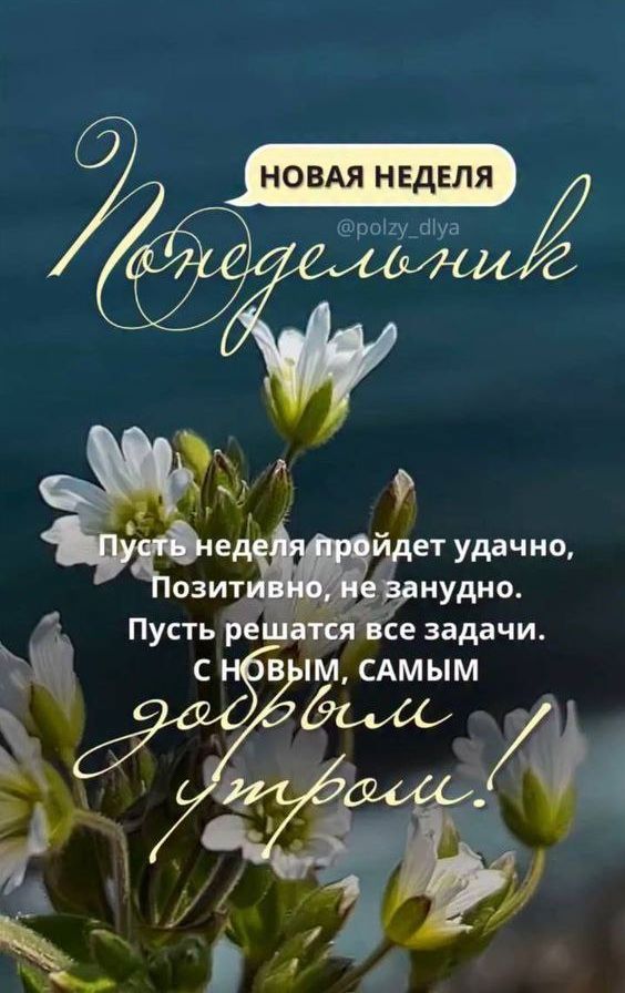 Пусть неделя пройдет удачно, Позитивно, не занудно. Пусть решатся все задачи. С НОВЫМ, САМЫМ ДОБРЫМ УТРОМ!