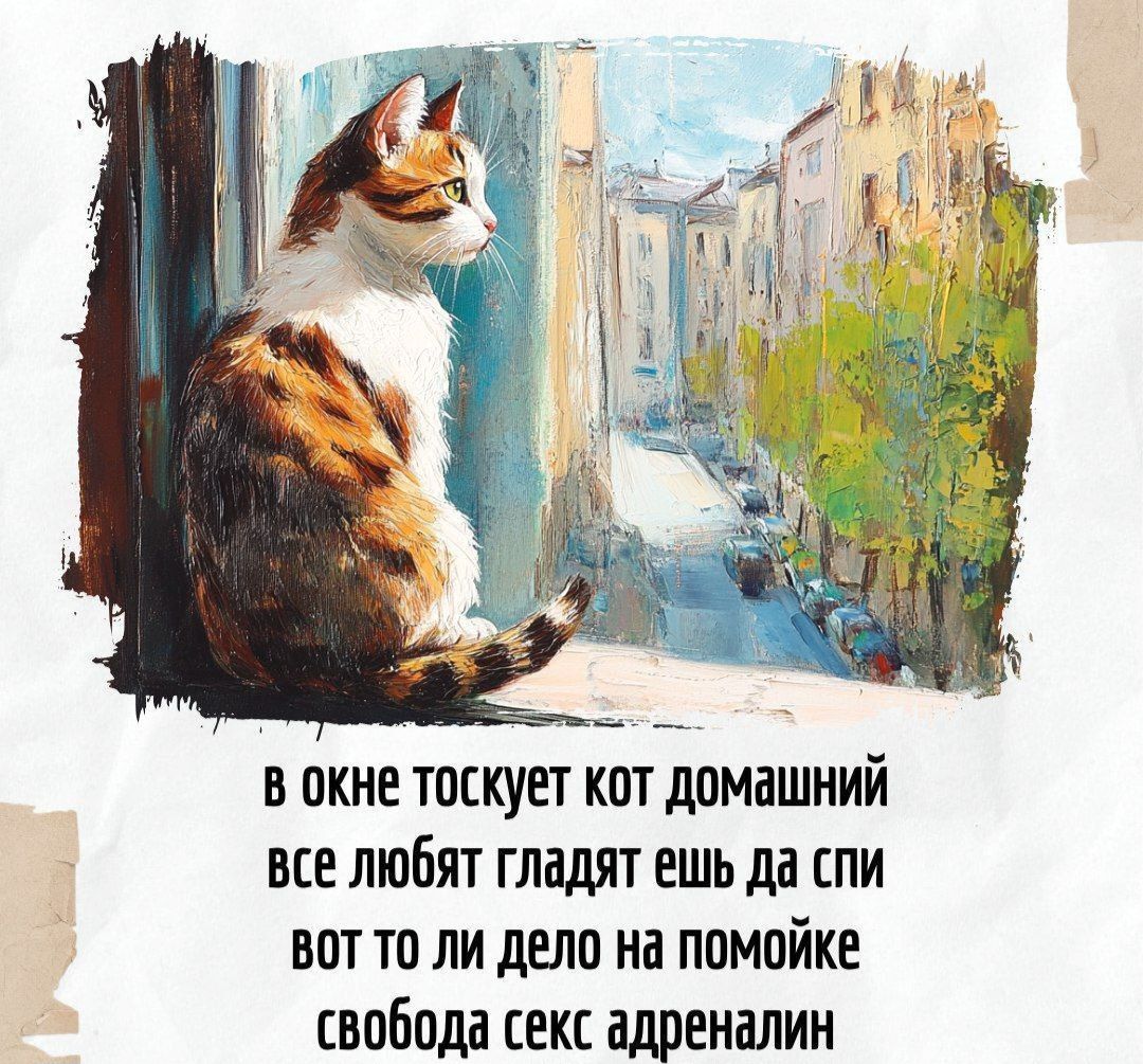 в окне томится кот домашний
все любят гладить ешь да спи
вот то ли дело на помойке
свобода секс адреналин