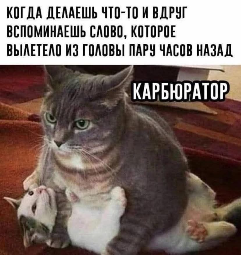 КОДА ДЕЛАЕШЬ ЧТО-ТО И ВДРУГ ВСПОМИНАЕШЬ СЛОВО, КОТОРОЕ ВЫЛЕТЕЛО ИЗ ГОЛОВЫ ПАРУ ЧАСОВ НАЗАД КАРБЮРАТОР