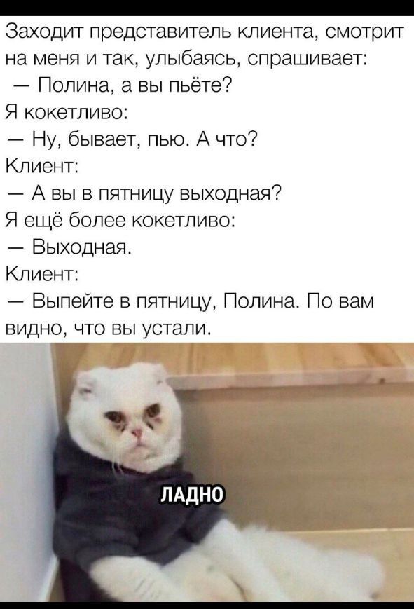 Заходит представитель клиента, смотрит на меня и так, улыбаясь, спрашивает:
— Полина, а вы пьёте?
Я кокетливо:
— Ну, бывает, пью. А что?
Клиент:
— А вы в пятницу выходная?
Я ещё более кокетливо:
— Выходная.
Клиент:
— Выпейте в пятницу, Полина. По вам видно, что вы устали.