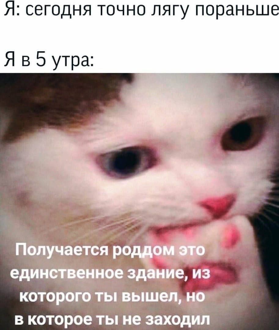 Я: сегодня точно лягу пораньше
Я в 5 утра:

Получается роддом это единственное здание, из которого ты вышел, но в которое ты не заходил.