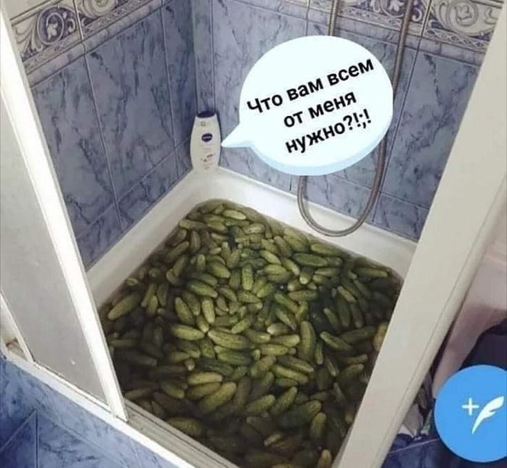 Что вам всем от меня нужно?!