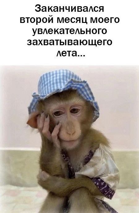 Заканчивался второй месяц моего увлекательного захватывающего лета...