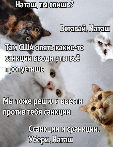 Наташ, ты спишь?
Вставай, Наташ
Там США опять какие-то санкции вводит, ты всё пропустишь
Мы тоже решили ввести против тебя санкции
Санкции и фанкции. Убери, Наташ