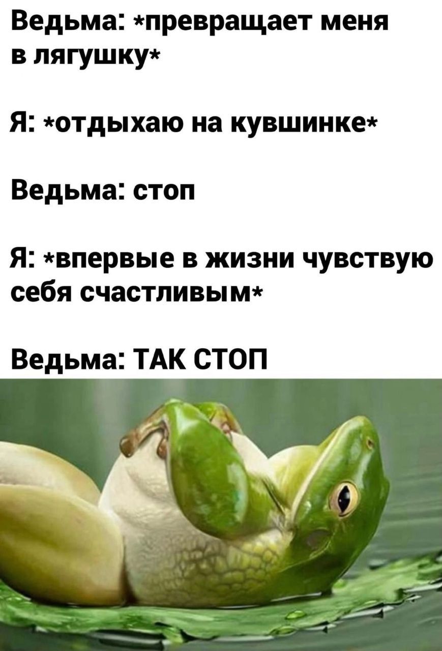 Ведьма: *превращает меня в лягушку*
Я: *отдыхаю на кузьминке*
Ведьма: стоп
Я: *впервые в жизни чувствую себя счастливым*
Ведьма: ТАК СТОП
